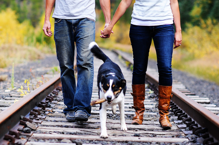 Beautiful engagement photographs with your dog in Vail, Colorado.