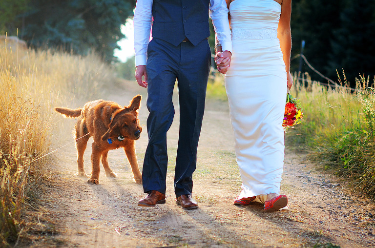 Cute dog photo from a Fort Collins, Colorado wedding by destination wedding photographer. www.TrueNorthPhotography.co Kira (Horvath) Vos